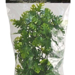 Zoo Med Natural Bush Amazonian Phyllo Plant - Medium - 18 inch
