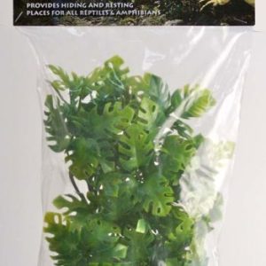 Zoo Med Natural Bush Amazonian Phyllo Plant - Small - 14 inch