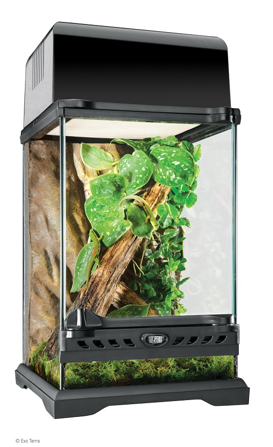 Exo Terra Nano Tall Terrarium - 8in x 8in x 12in