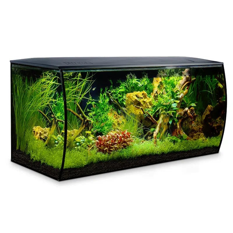 Fluval FLEX Aquarium Kit - Black - 32.5 Gallon - Image 3