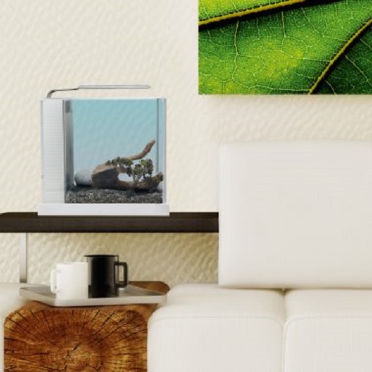 Fluval Spec III - 2.6 gallon - White - Image 2