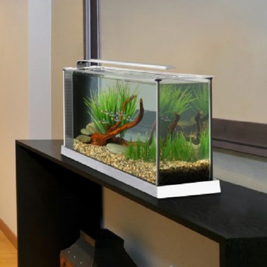 Fluval SPEC V - White - 5 Gallon - Image 2