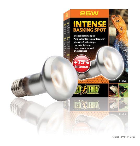 Exo Terra Intense Basking Spot - 25 Watt - Image 2