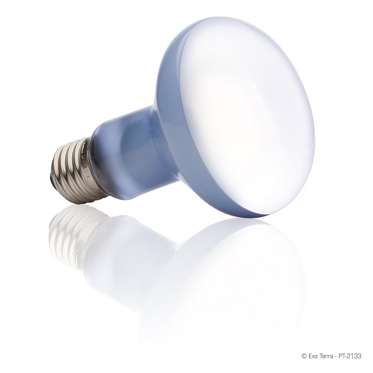 Exo Terra Daylight Basking Spot Lamp - 100 Watt - R25 - Image 2
