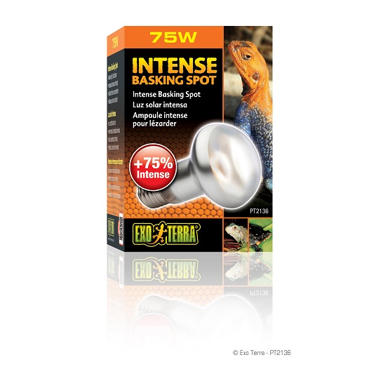 Exo Terra Intense Basking Spot - 75 Watt - S20 - Image 2