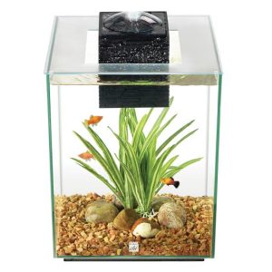 Fluval Chi - 5 Gallon