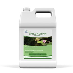 Barley Straw Extract - 3.78ltr / 1 gal