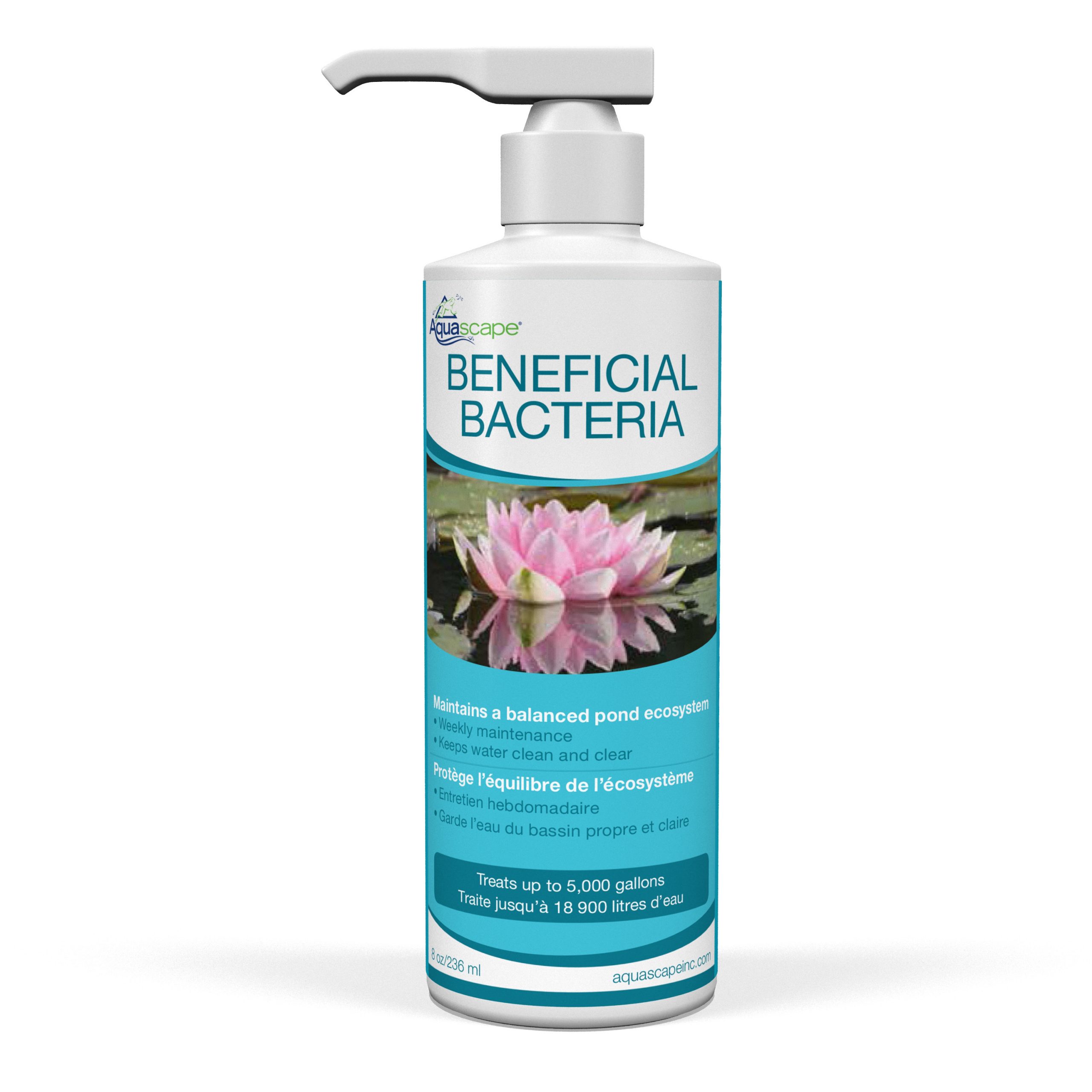 Beneficial Bacteria - 236ml / 8oz